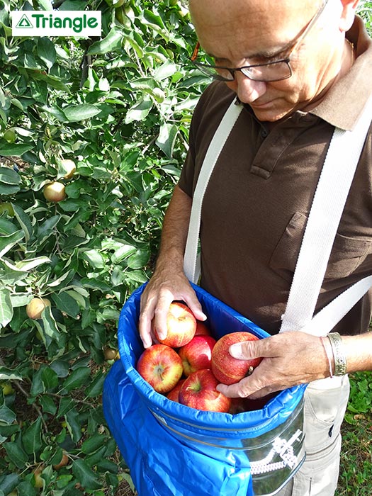 Panier de récolte